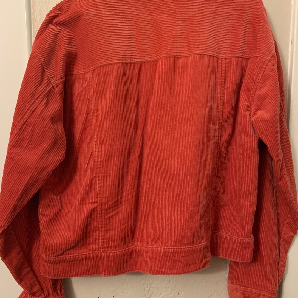 Jacket - Picture 3 of 3